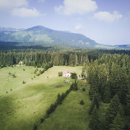 Homestay Djerkovic Žabljak Exteriér fotografie