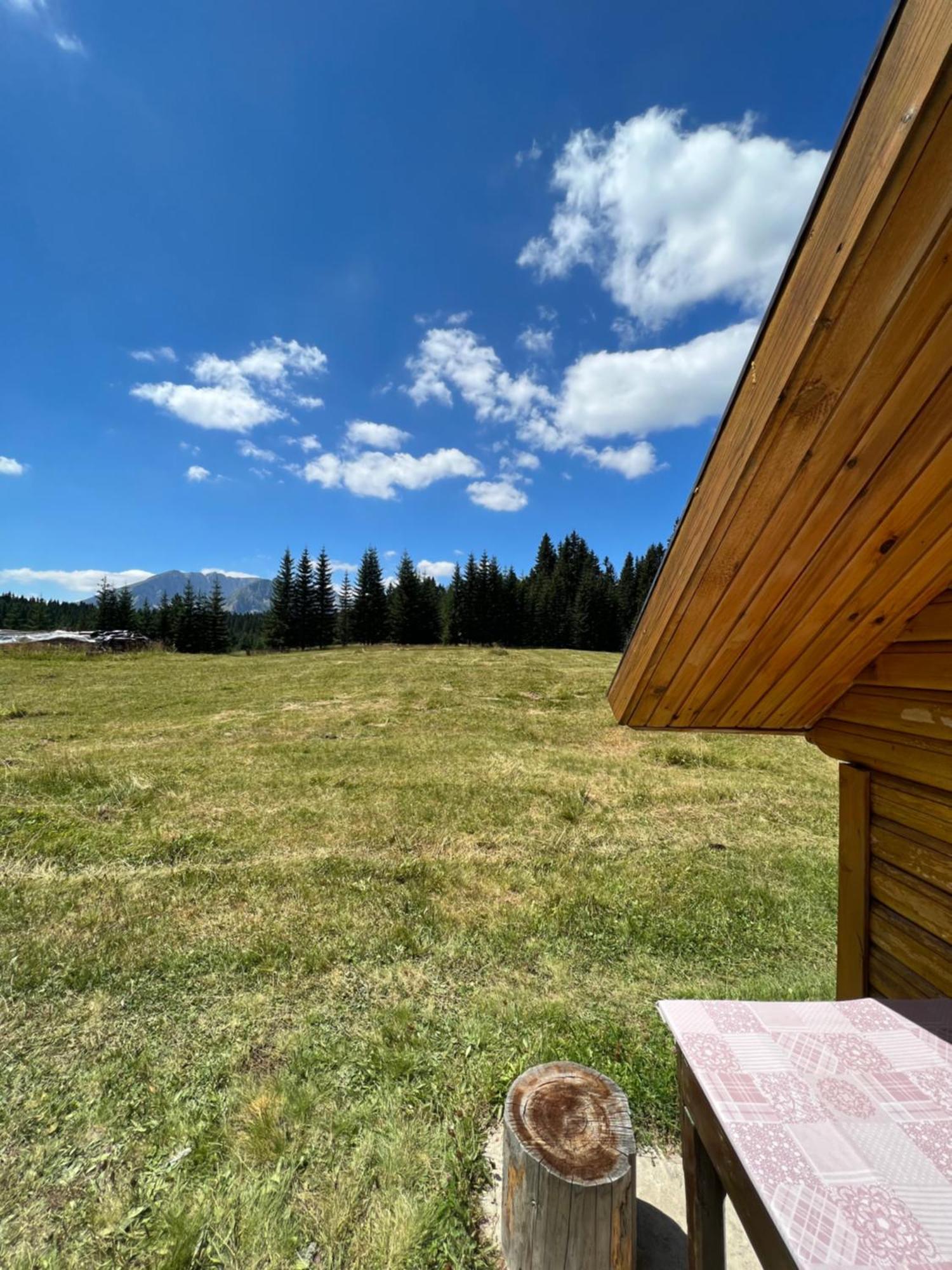 Homestay Djerkovic Žabljak Exteriér fotografie