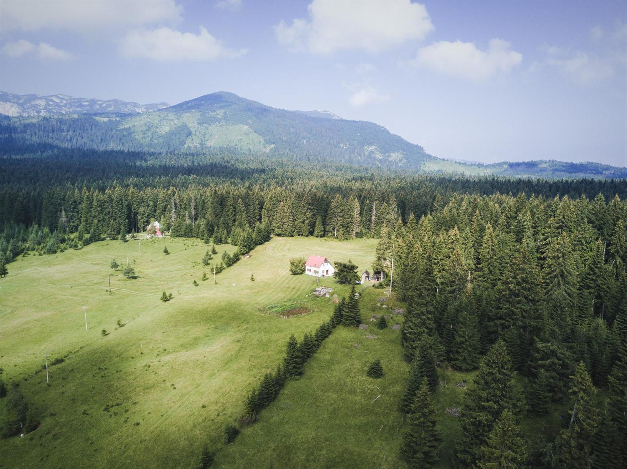 Homestay Djerkovic Žabljak Exteriér fotografie