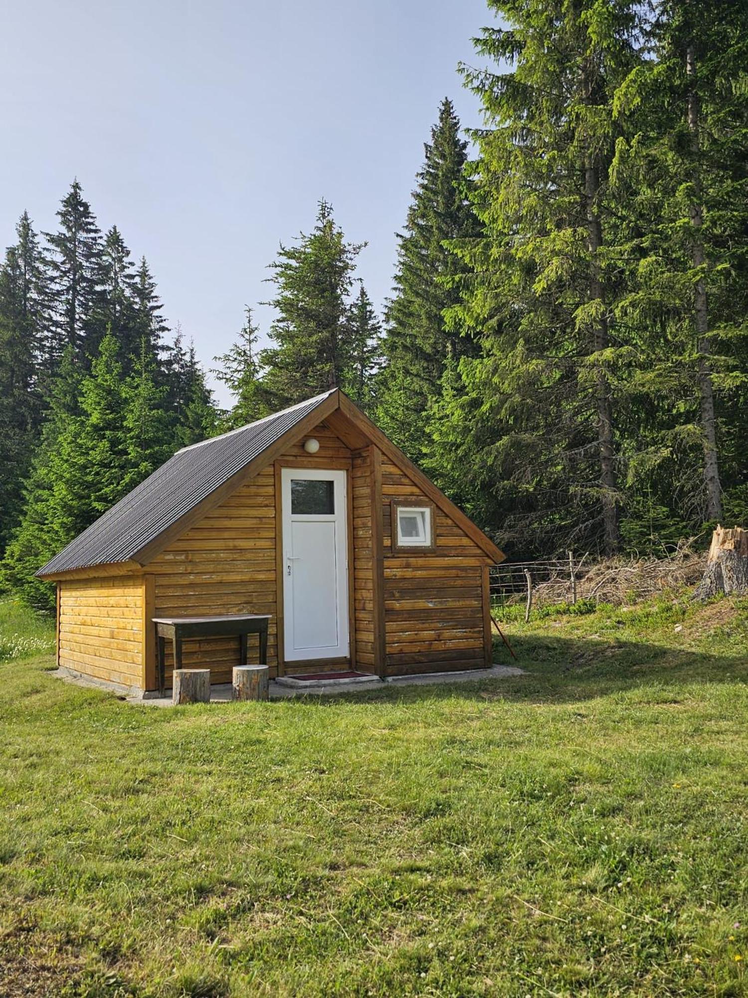 Homestay Djerkovic Žabljak Exteriér fotografie