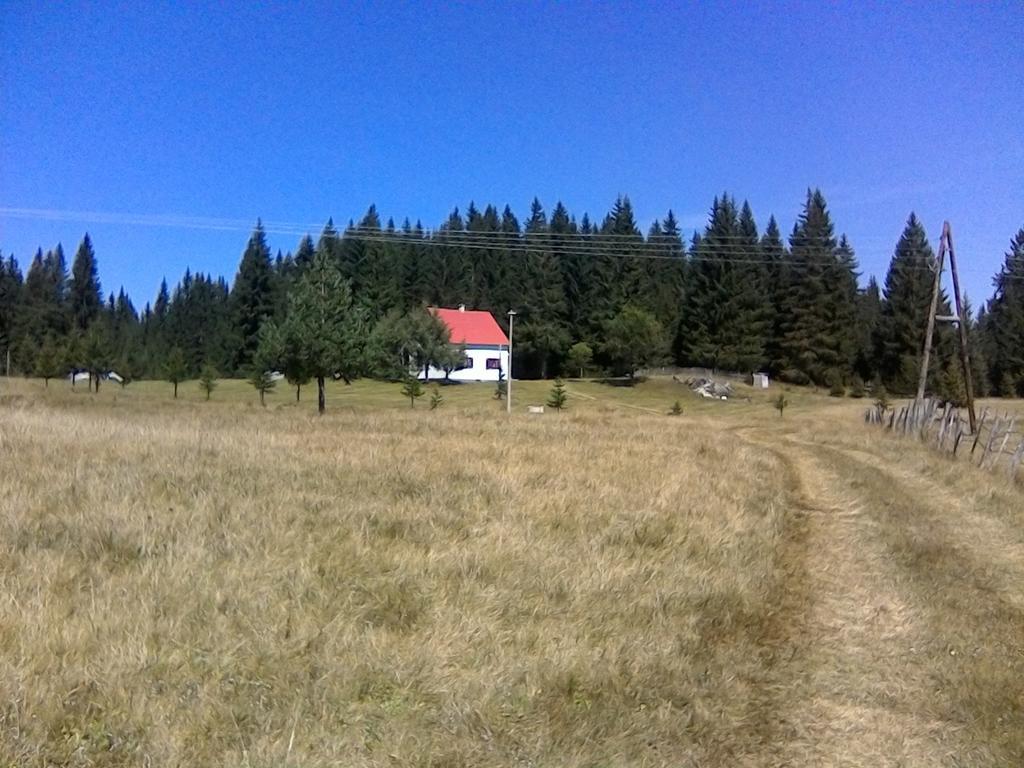 Homestay Djerkovic Žabljak Exteriér fotografie