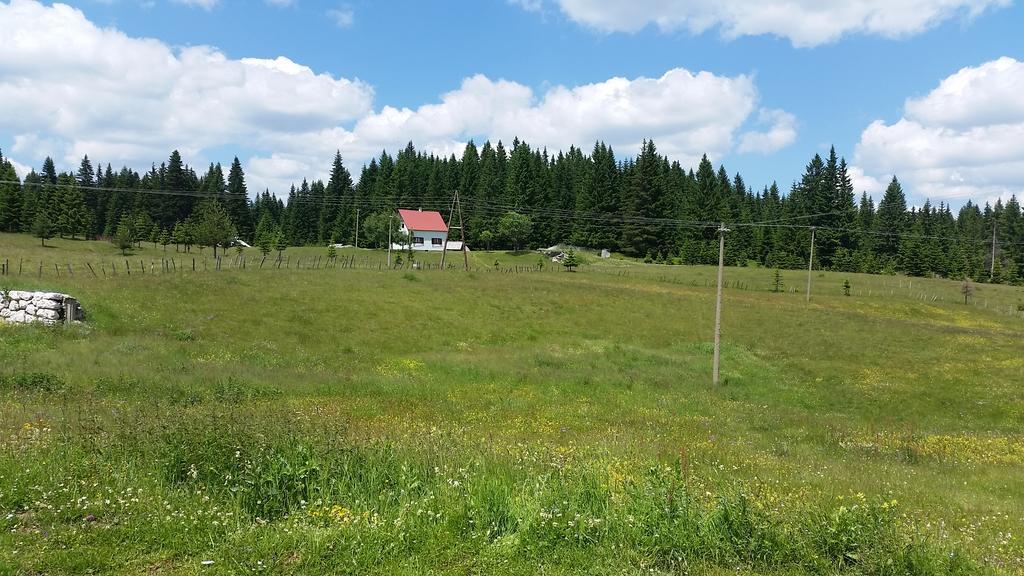 Homestay Djerkovic Žabljak Exteriér fotografie