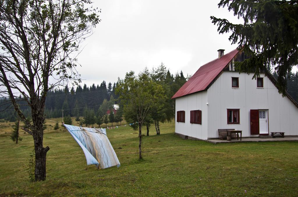 Homestay Djerkovic Žabljak Exteriér fotografie