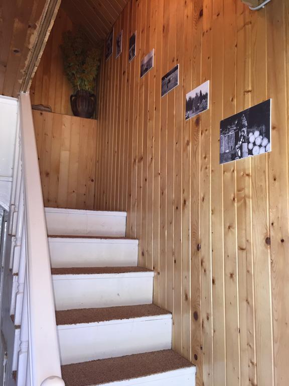 Homestay Djerkovic Žabljak Exteriér fotografie